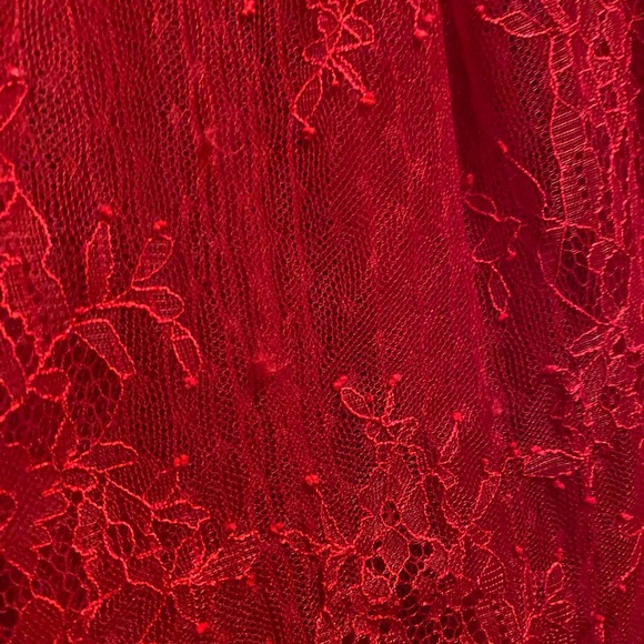 Express Lace Fit & Flare Dress - Picture 6 of 9